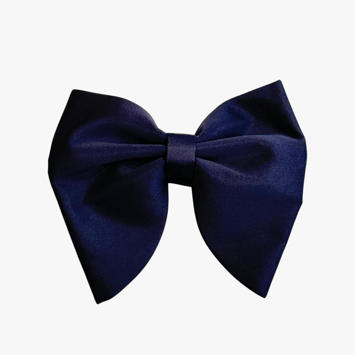 Silk Bow Tie